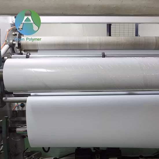 Plastic Card Material Holographic PVC Pet Polyester Sheet for UV Offset Screen Printing