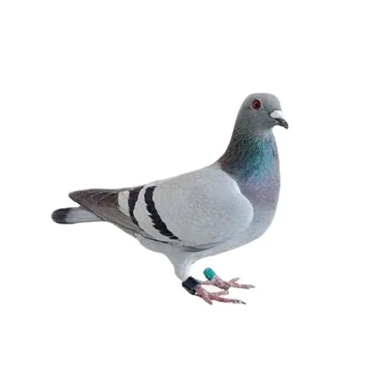 RFID Animal Foot Ring UHF Bird Ring Tags Pigeon GPS Tracking Rings Tag 